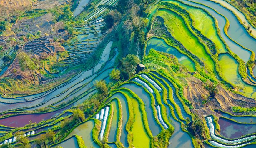 宝妈必备神器：沙河市产品视频拍摄轻松育儿好帮手