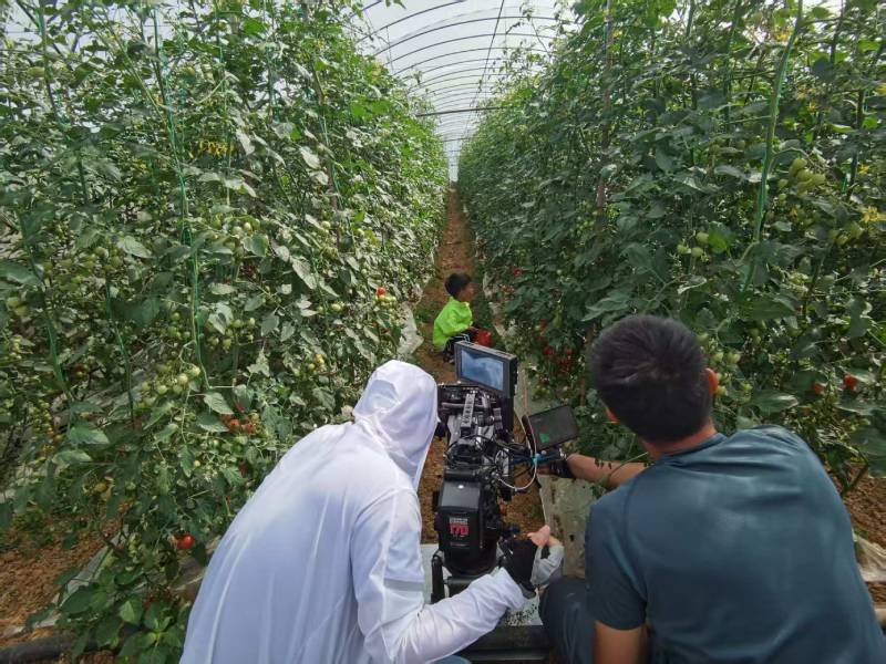 沙河市产品宣传视频拍摄公司进阶指南，助力品牌抢占传播高地